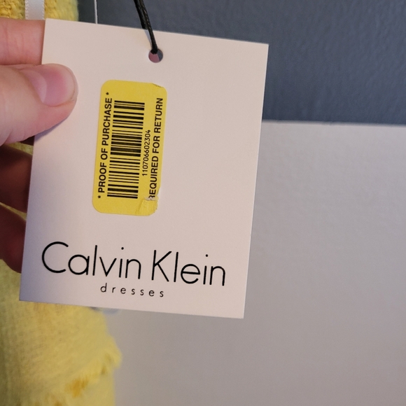NWT Calvin Klein Fringe Drop Waist Dress Size 14 - Picture 8 of 12